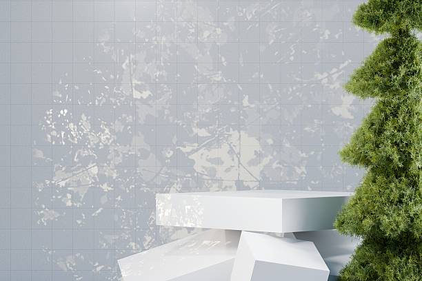 3d minimal podium with green pine tree and white modern base. asymmetric nature balance. 3d render.