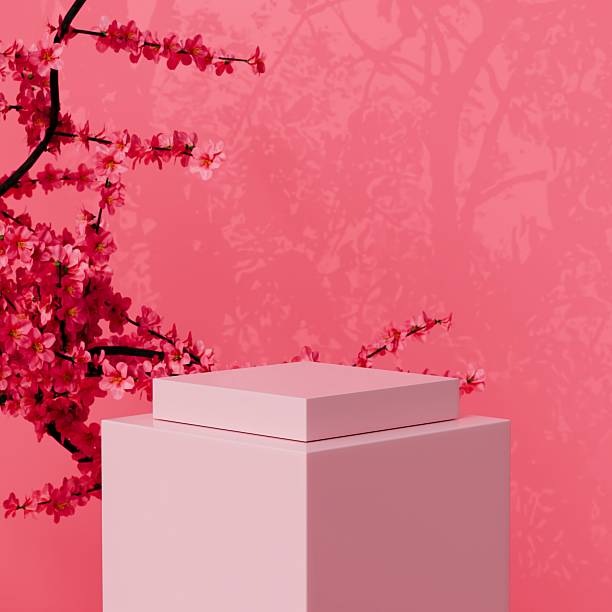 istock 3d pink cube podium with cherry blossom branches. romantic spring luxury concept. bright minimal studio scene with soft shadows for cosmetic perfume jewelry branding. 3d render. 2253993275