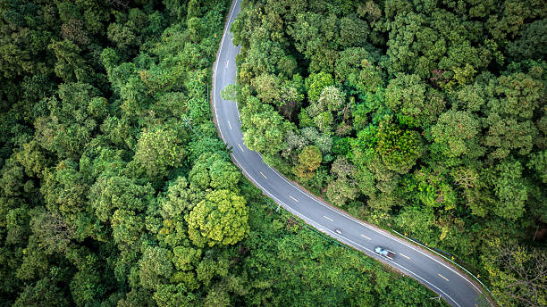 istock Curved Road Cutting Through Dense Green Forest Aerial Background 2253995848
