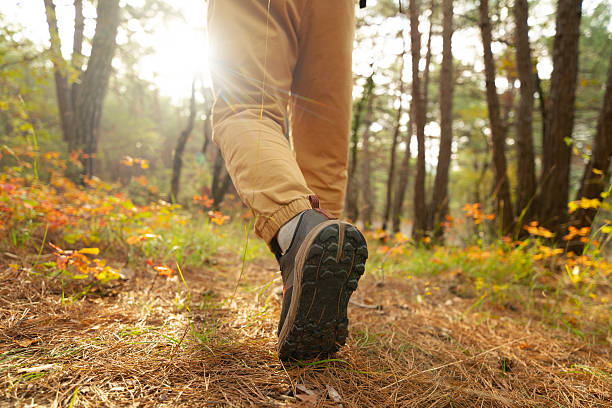 istock mens foot steps on autumn trail, rearview 2254014010