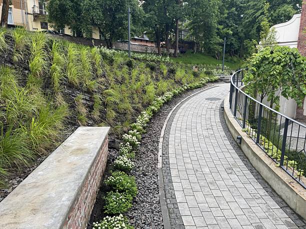 istock Nice modern leisure city park 2254014712