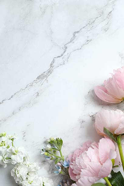 istock Top view of beautiful pink peonies, space for text. Festive postcard 2254015012