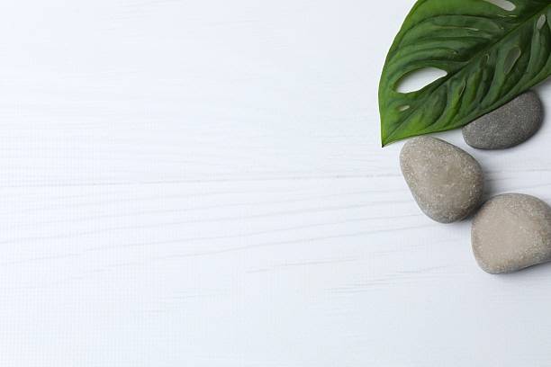 istock Spa concept. Green leaf with stones, top view, copy spase 2254017455