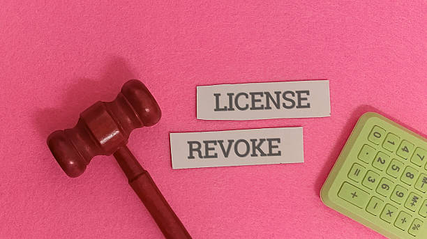 Judge gavel and license revoke on pink background