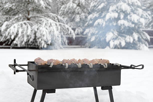 A barbecue grill on the background of winter landscape.