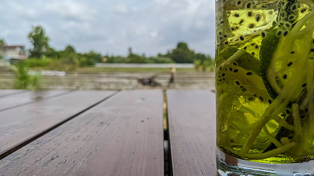 Woman's hand with lemonade in plastic cup