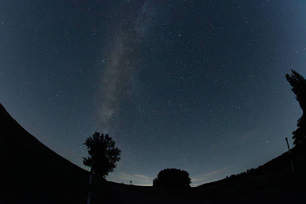 Silhouette of trees and starry sky galaxy