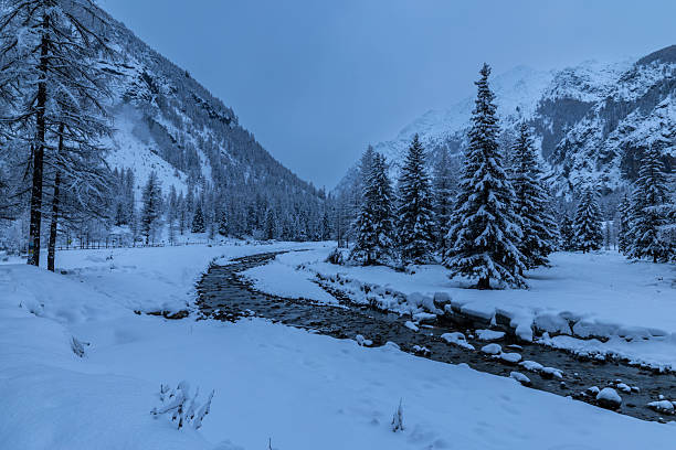 Valnontey is a natural paradise, a few kilometers from Cogne, in the Aosta Valley, in the Gran Paradiso National Park. It has been snowing all day and the days are short in winter. Darkness falls from the mountain ramparts along the valley. There is no one in the valley, the snow shows an otherworldly silence. Yesterday, a large lone wolf was searching for food in the center of Cogne. What would I do if I encountered one, jumping out of the darkness?