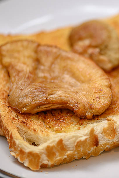 Lion's mane mushroom on toast