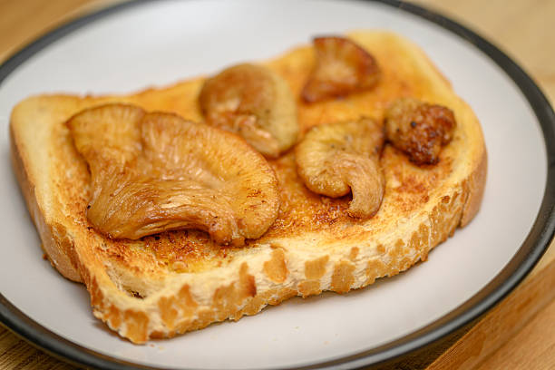 Cooked Lion's mane mushroom on a slice of toast