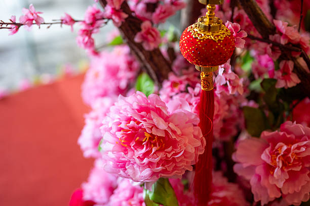 Image of Chinese lanterns with cherry blossoms for Chinese New Year