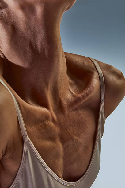 istock Ballet neckline and collarbone tension in dramatic light 2254038702