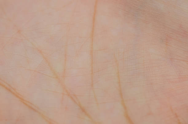Hands clasped