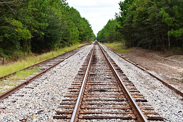 The railroad tracks stretch into the horizon, framed by a canopy of trees, creating a sense of depth and perspective.