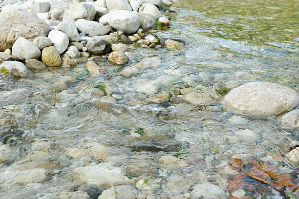 Clear Shallow River Water Flowing Over Rocks and Stones.