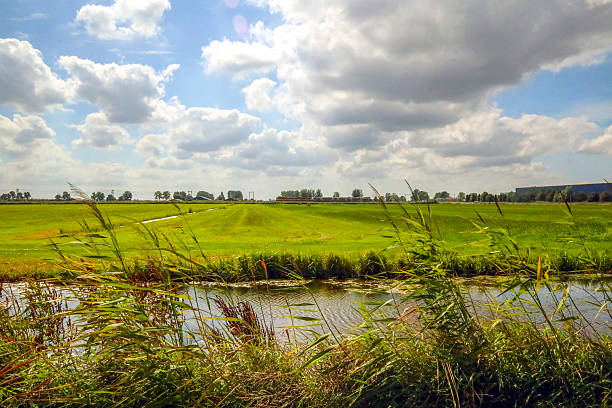Meadows at future Cortelande where new commercial area will arise named Doelwijk II