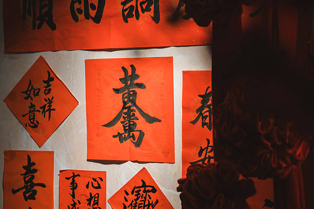 Chinese Calligraphy character for Happy Chinese New Year