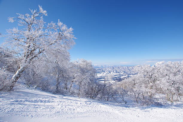 Nagano Prefecture, Japan - December 29, 2025: A snowy mountain under a blue sky. This is the summit of Mount Kenashi, home to Nozawa Onsen Ski Resort in Nagano Prefecture, Japan. At an altitude of 1,650m, this is one of Japan's snowiest areas. The peak snowfall in the summit area can exceed 5m in a season. There's a good chance you'll encounter the finest powder snow. Skiers and snowboarders from all over the world flock here.