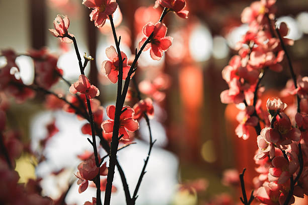 Image of close up artificial Blossom flower background.