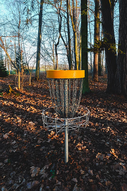 istock Disc Golf Basket in a Scenic Park at Sunset 2254054454