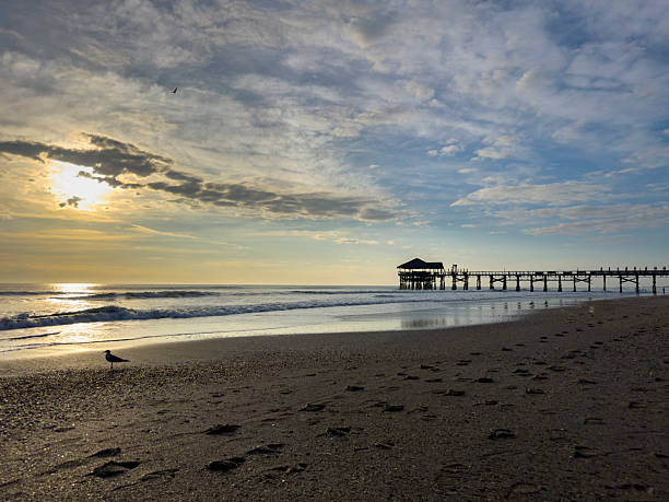 Early morning sunrise at Cocoa Beach, Florida, featuring the iconic wooden pier extending into the Atlantic Ocean. Soft golden light reflects on the wet sand as gentle waves roll onto the shore beneath a partly cloudy sky. A seabird stands along the beach in the foreground, adding a peaceful coastal atmosphere.