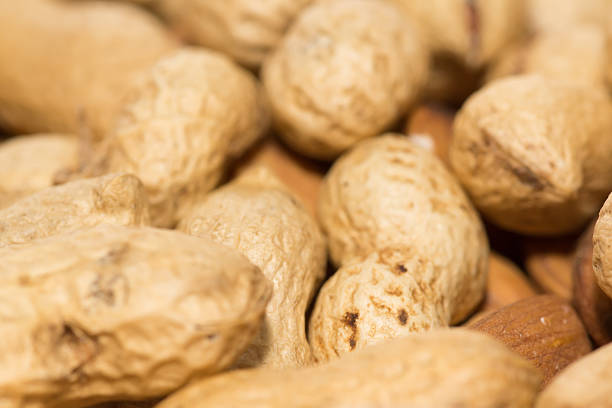 Closeup view of mixture of different types of tree nuts in the shells