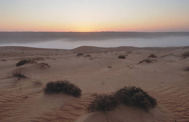 The Sharqiya Sands or Wahiba Sands is a region of desert in Oman