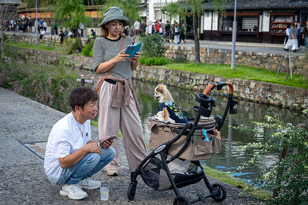 People take a picture of a trolley with their dogs in it in the kurashiki japan
