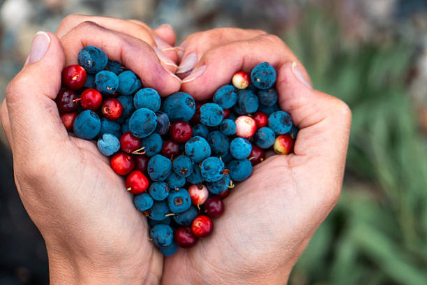 istock Heart of Yamal 2254071545