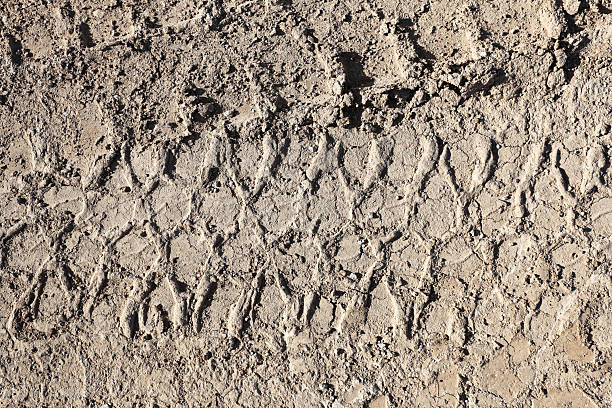 Tire track on the dirt or mud road