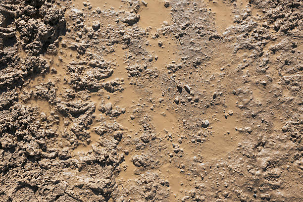 istock Wet sandy ground texture. Mud and sand surface closeup. Natural soil background. Rough earthy pattern detail. 2254072905