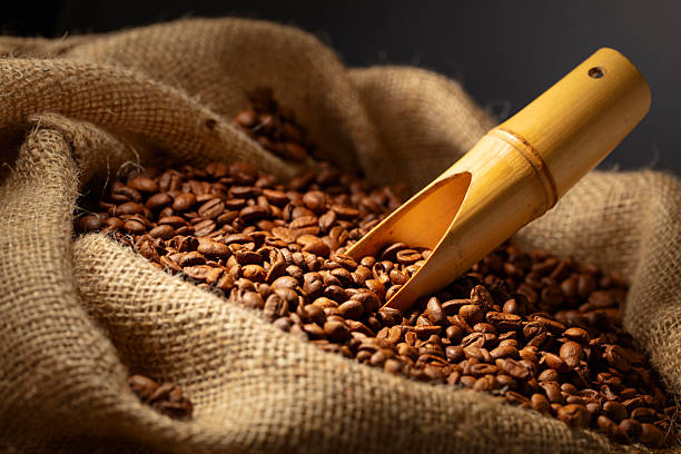 istock Roasted coffee beans in burlap bag. 2254076204