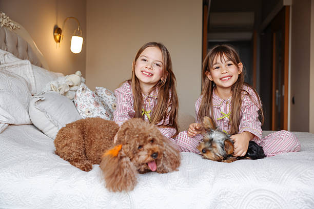 istock Happy sisters playing with dogs 2254076554