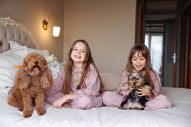 istock Happy sisters playing with dogs 2254076569