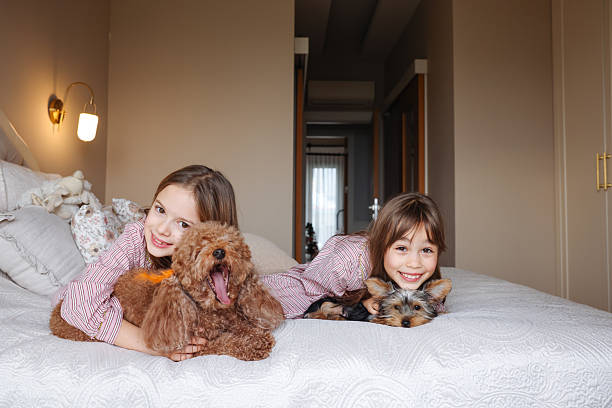 istock Happy sisters playing with dogs 2254076896