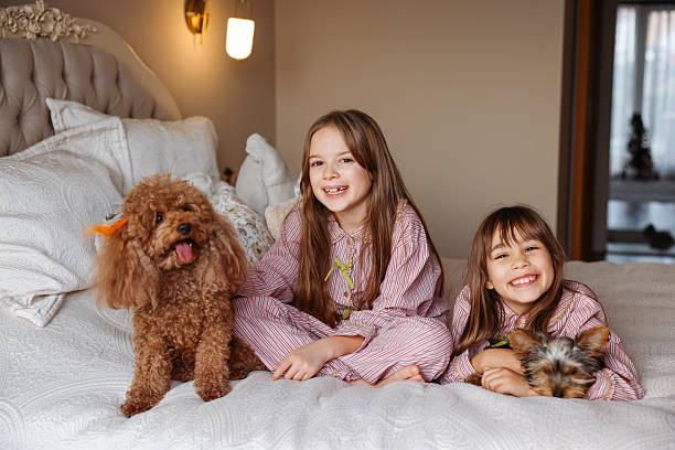 istock Happy sisters playing with dogs 2254077203