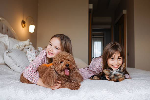 istock Happy sisters playing with dogs 2254077246