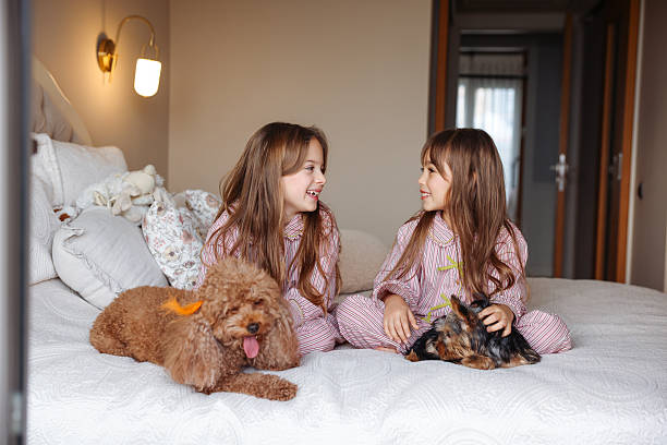 istock Happy sisters playing with dogs 2254077260