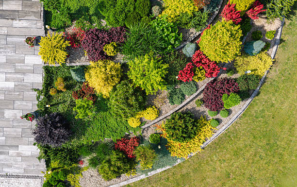 istock Colorful Garden With Various Plants and Shapes in Sunlight 2254077932