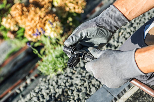 A person adjusts an irrigation tool while standing on a garden path next to blooming flowers in bright daylight.