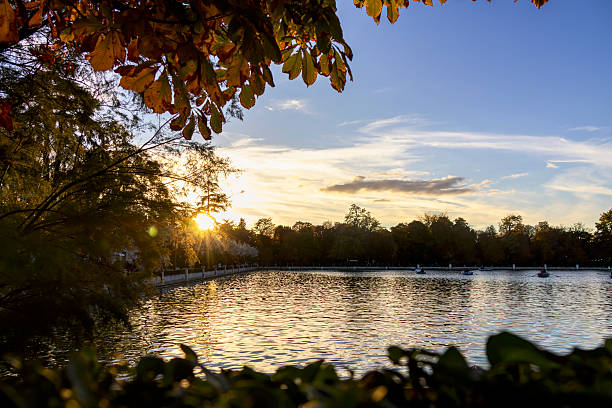 Sunbeams in El Retiro Park
