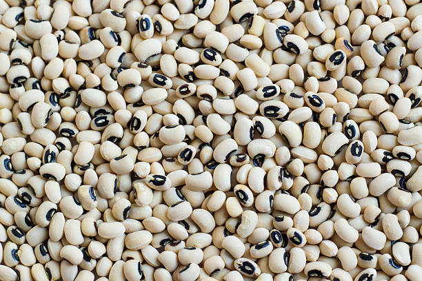 istock Black-eyed pea or cowpeas 2254087912