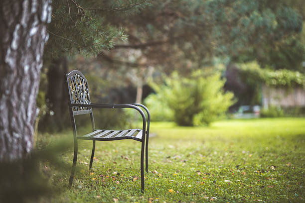 The elegant chair is placed in a serene outdoor setting, inviting relaxation and contemplation