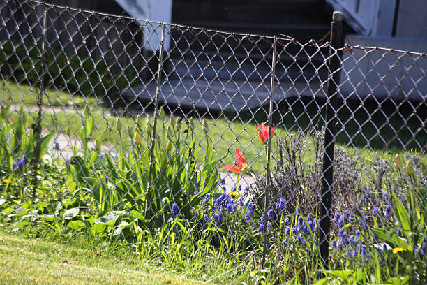 Green Grass Growing Through A Metal Fence Surrounded By Colorful Flowers In Bright Daylight