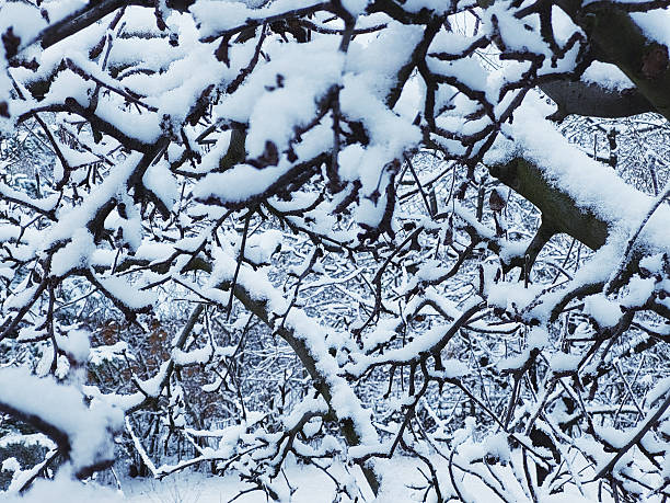 Deogyusan Mountain, Korea