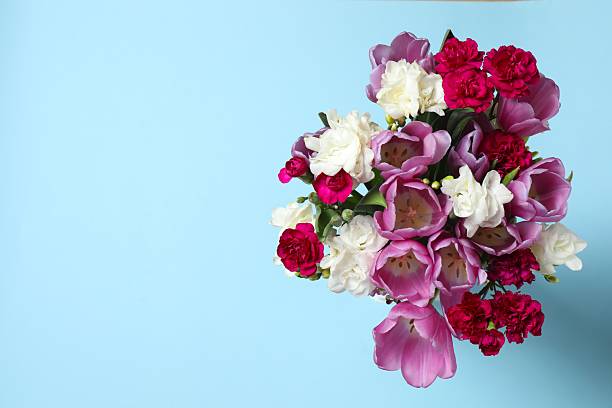 Carnation flowers and yellow tulips on bright background