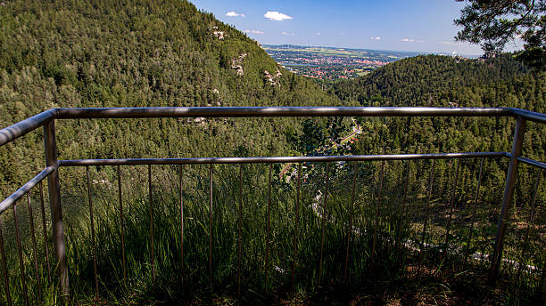 istock Pine and eucalyptus forest seen from a lookout point with steel railings 2254094230
