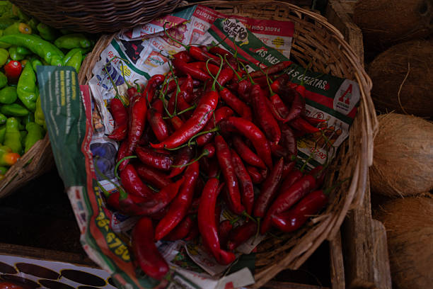 Salvador, Bahia, Brazil - September 20, 2025: View of fresh red peppers arranged on newspaper in a wicker basket. Sao Joaquim Fair, Salvador, Bahia.