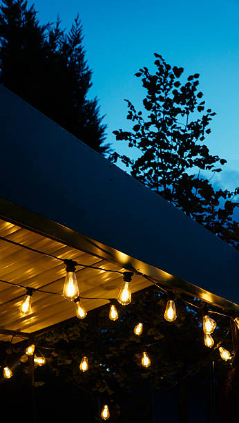 istock Warm Edison bulb string lights hanging under a roof in a garden at twilight 2254105663