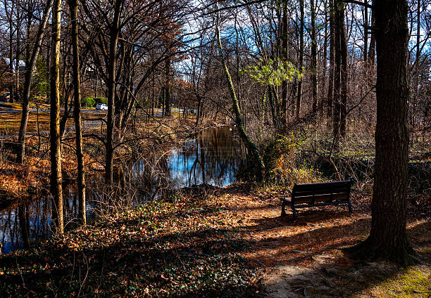 istock A rural wilderness area in winter. 2254106926
